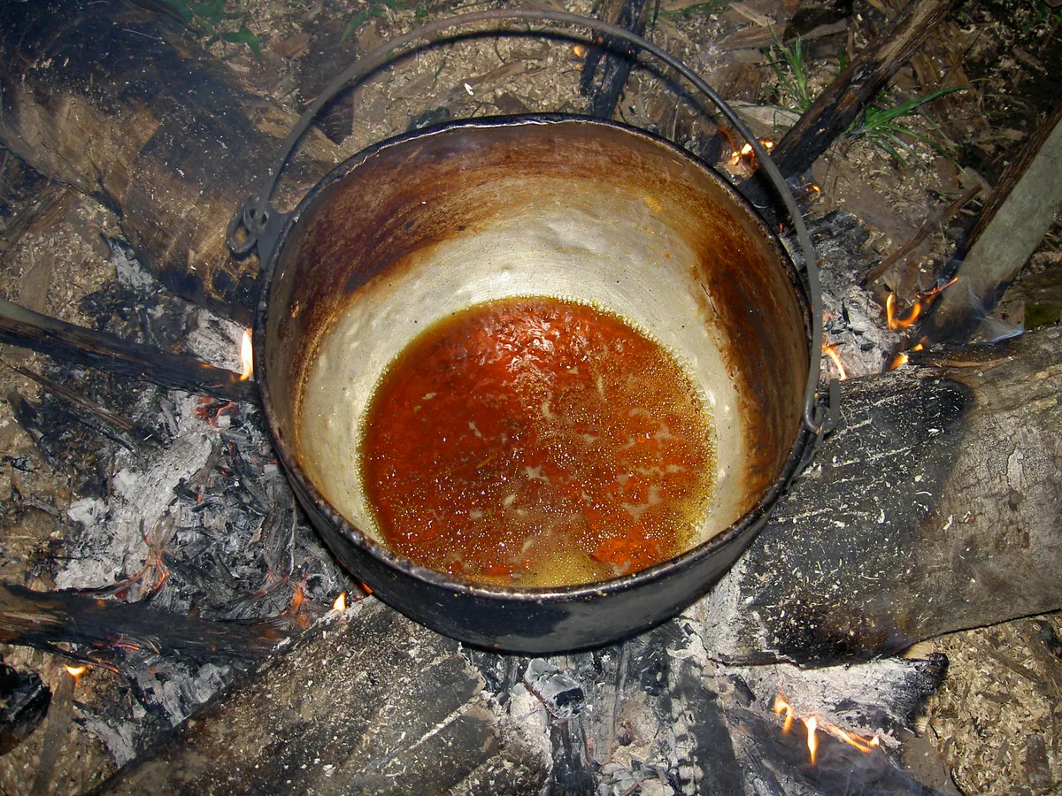Ayahuasca and DMT: the difference, and why the journey is so unlike each other
