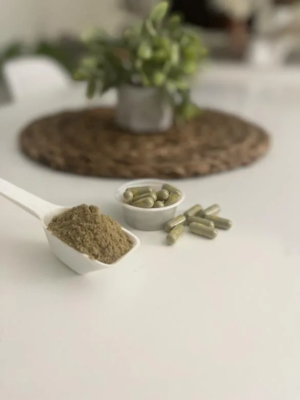 Kratom (Mitragyna speciosa)