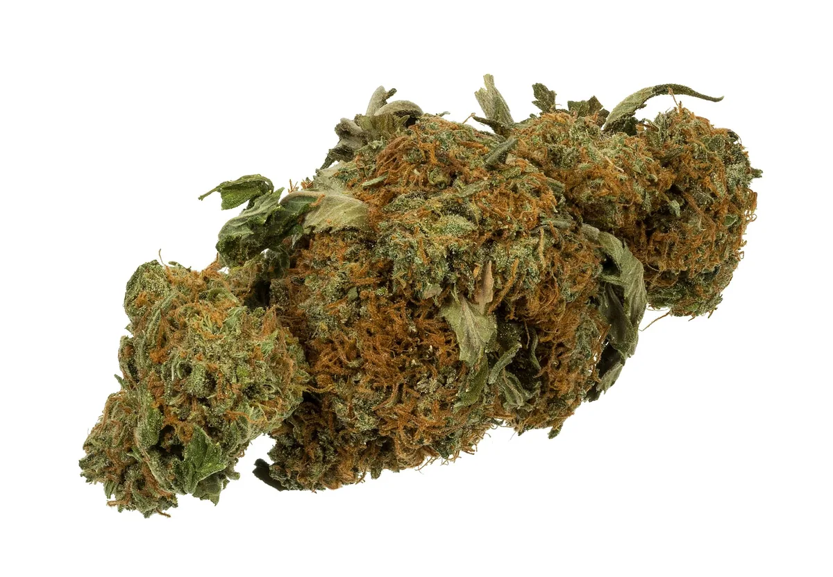 Smartshop, headshop, coffeeshop: wat is het verschil?