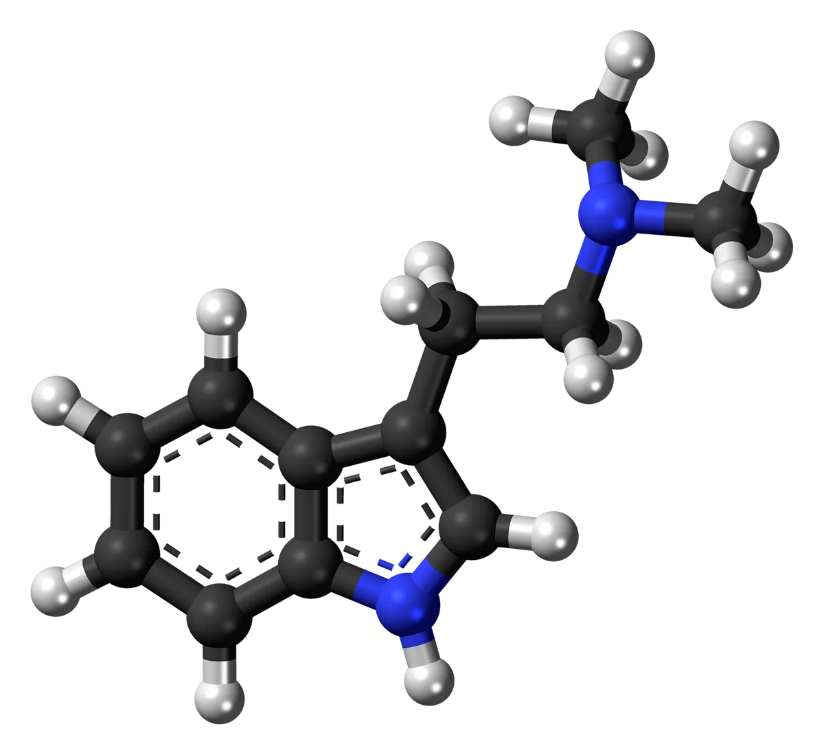 What is DMT? The spirit molecule, honestly explained